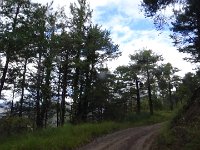 2016-colmiane-088