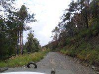 2016-colmiane-091