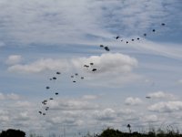 IMG 9516