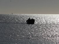 IMG 9581