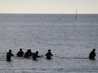 IMG 9597
