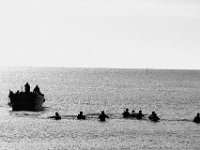 IMG 9603