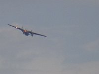 2019-paras1208t-010