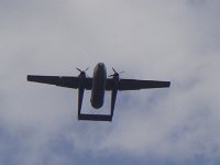 2019-paras1208t-019