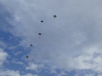 2019-paras1208t-034