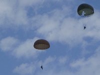 2019-paras1208t-037