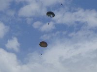 2019-paras1208t-040