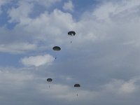 2019-paras1208t-043