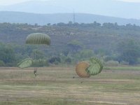 2019-paras1208t-049