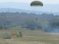 2019-paras1208t-052