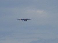 2019-paras1208t-064