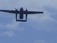 2019-paras1208t-070
