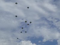 2019-paras1208t-076