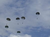 2019-paras1208t-079