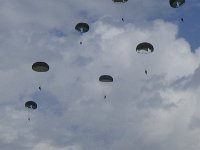 2019-paras1208t-082