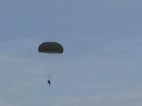 2019-paras1208t-088