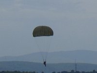2019-paras1208t-091