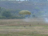2019-paras1208t-094
