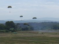 2019-paras1208t-100