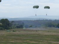 2019-paras1208t-103
