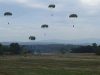 2019-paras1208t-106