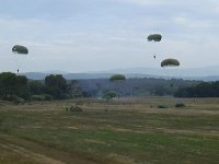 2019-paras1208t-109