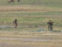 2019-paras1208t-127