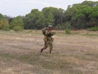 2019-paras1208t-136