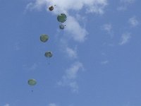 2019-paras1208t-166