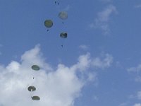 2019-paras1208t-169