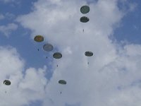 2019-paras1208t-172