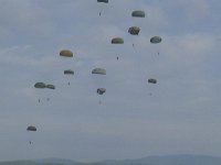 2019-paras1208t-175