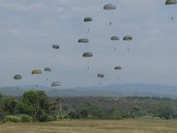2019-paras1208t-178
