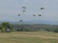 2019-paras1208t-181
