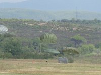 2019-paras1208t-187