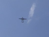 2019-paras1208t-193