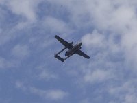 2019-paras1208t-196