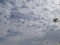 2019-paras1208t-199