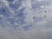 2019-paras1208t-202