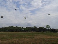 2019-paras1208t-208