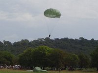 2019-paras1208t-220