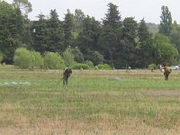 2019-paras1208t-229