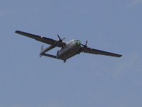 2019-paras1208t-235