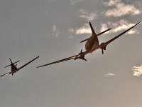2024-nicemike0772