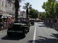 2025-stemaximel0655