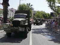 2025-stemaximel0661