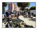 mvcgseca bourse militaria02748 GF