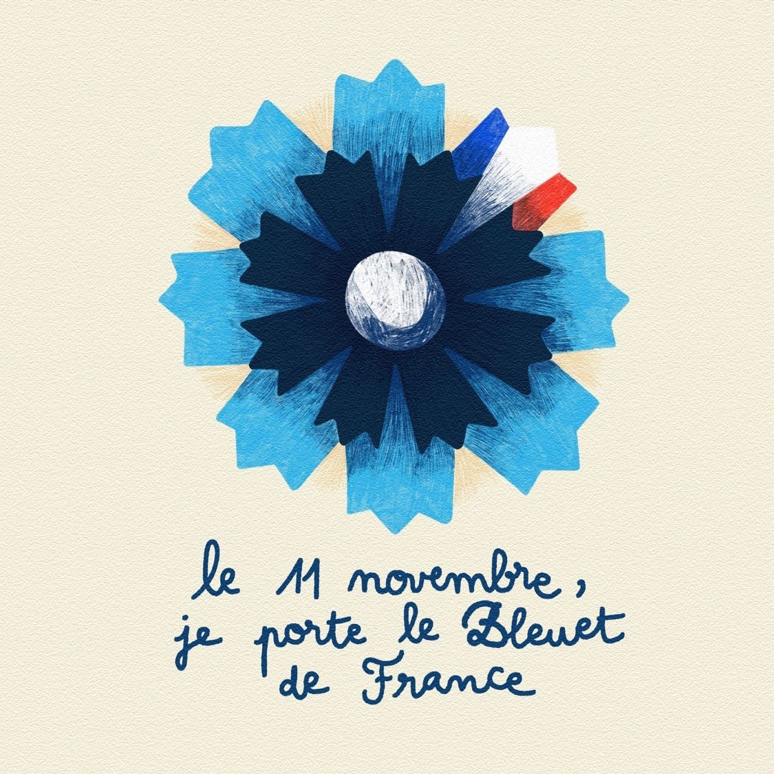 bleuetdefrance.jpg