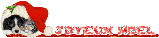 joyeuxneol.gif