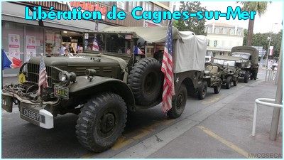 20260827-cagnespt.jpg